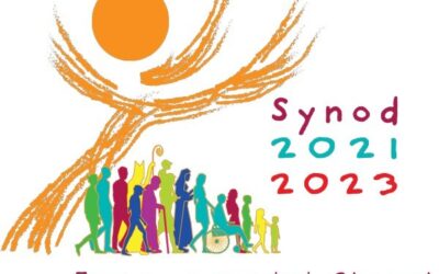 Synod Meetings in the Diocese of Waterford & Lismore