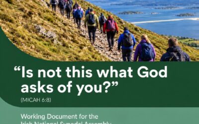 Working Document for the Irish National Synodal Assembly